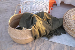 Elegant picnic setup from PetalPop.ae – Convenient outdoor arrangements for UAE